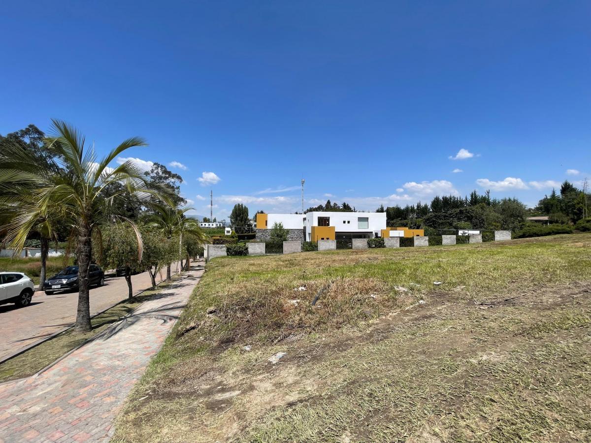 Venta Terreno Precio de Oportunidad La Ceramica Tumbaco — imagen 9