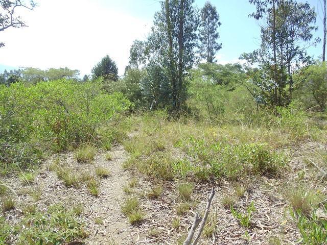 Vendo Oportunidad Terrenos de 5000 m en Nápoles Puembo — imagen 9