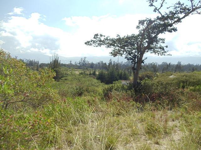 Vendo Oportunidad Terrenos de 5000 m en Nápoles Puembo — imagen 8