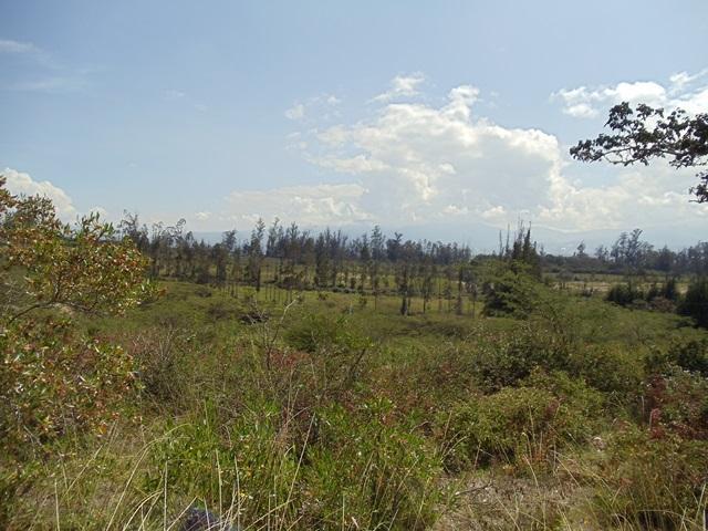 Vendo Oportunidad Terrenos de 5000 m en Nápoles Puembo — imagen 7