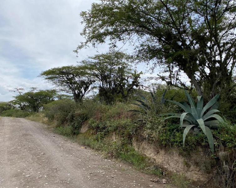 Vendo Oportunidad Terrenos de 5000 m en Nápoles Puembo — imagen 5