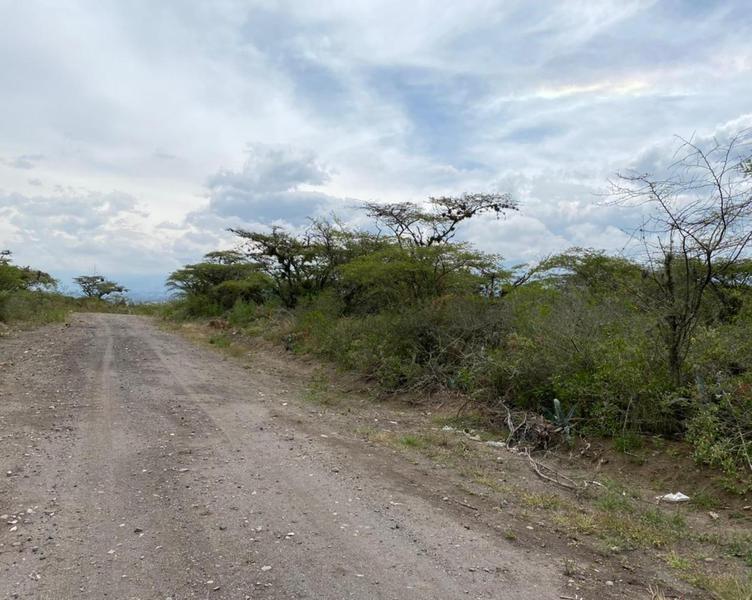 Vendo Oportunidad Terrenos de 5000 m en Nápoles Puembo — imagen 3