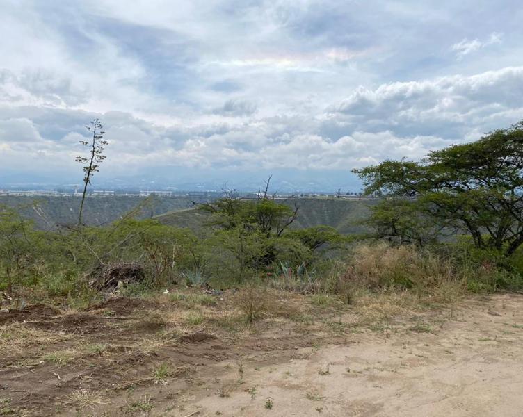 Vendo Oportunidad Terrenos de 5000 m en Nápoles Puembo — imagen 2