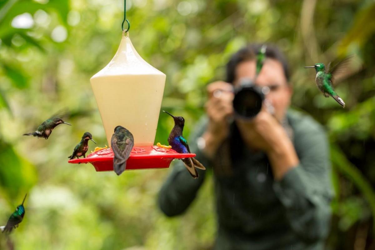 Oportunidad Remate Mindo Para Inversionistas, Ideal Para Proyecto Turístico, Cerca Mashpi Lodge — imagen 6