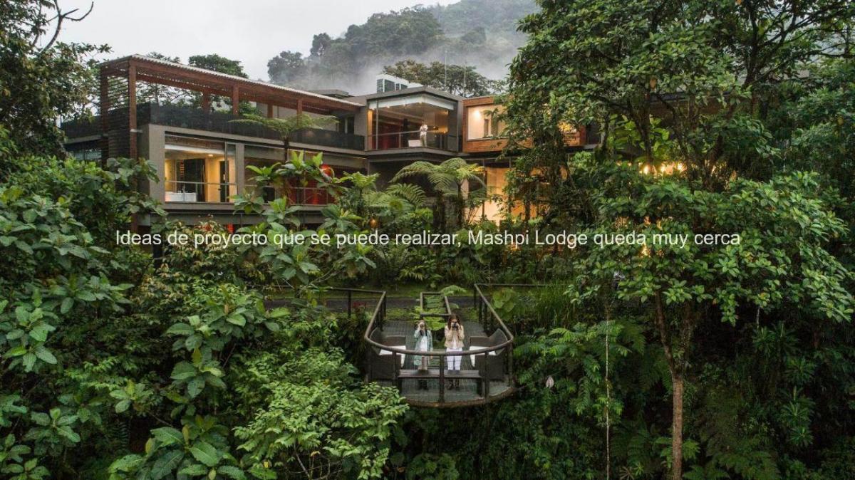 Oportunidad Remate Mindo Para Inversionistas, Ideal Para Proyecto Turístico, Cerca Mashpi Lodge — imagen 5