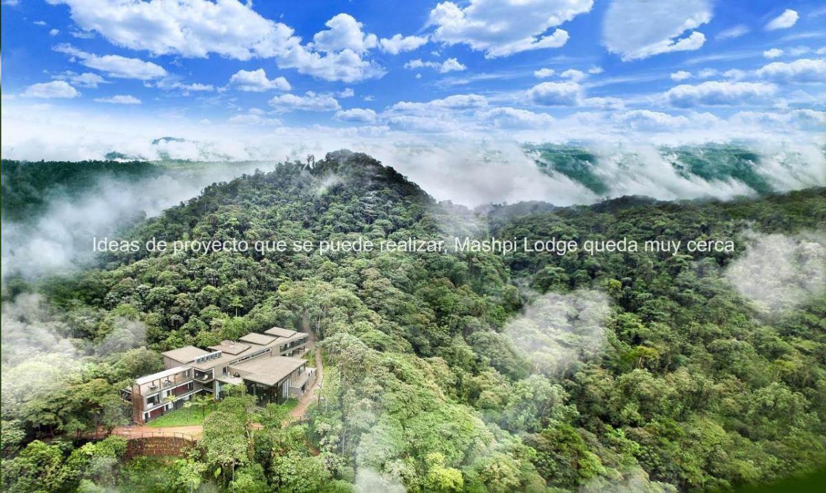 Oportunidad Remate Mindo Para Inversionistas, Ideal Para Proyecto Turístico, Cerca Mashpi Lodge — imagen 3