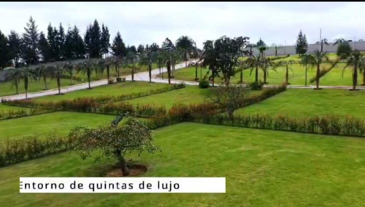 Terrenos de Venta Puembo Alto/ Cerca Colegio Einstein, Americano — imagen 10