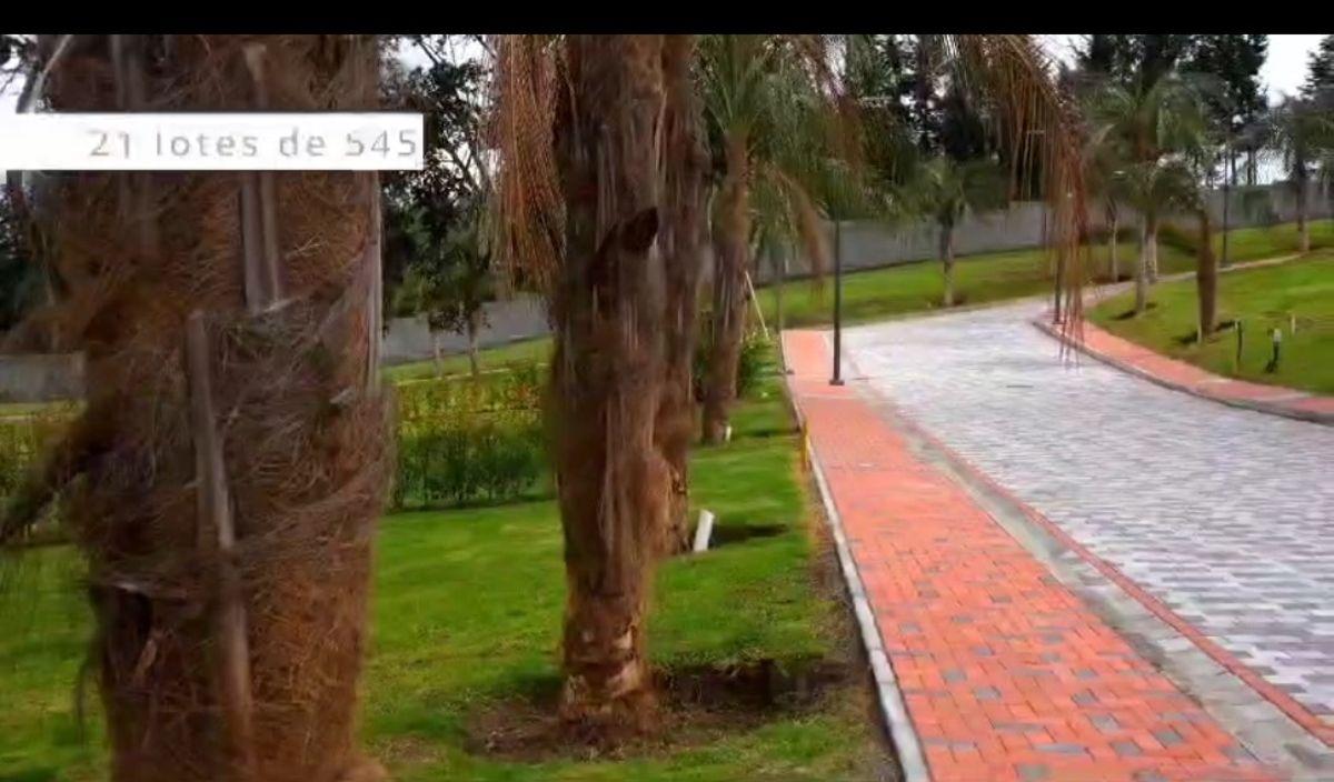 Terrenos de Venta Puembo Alto/ Cerca Colegio Einstein, Americano — imagen 4