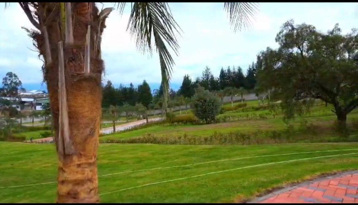 Terrenos de Venta Puembo Alto/ Cerca Colegio Einstein, Americano — imagen 3