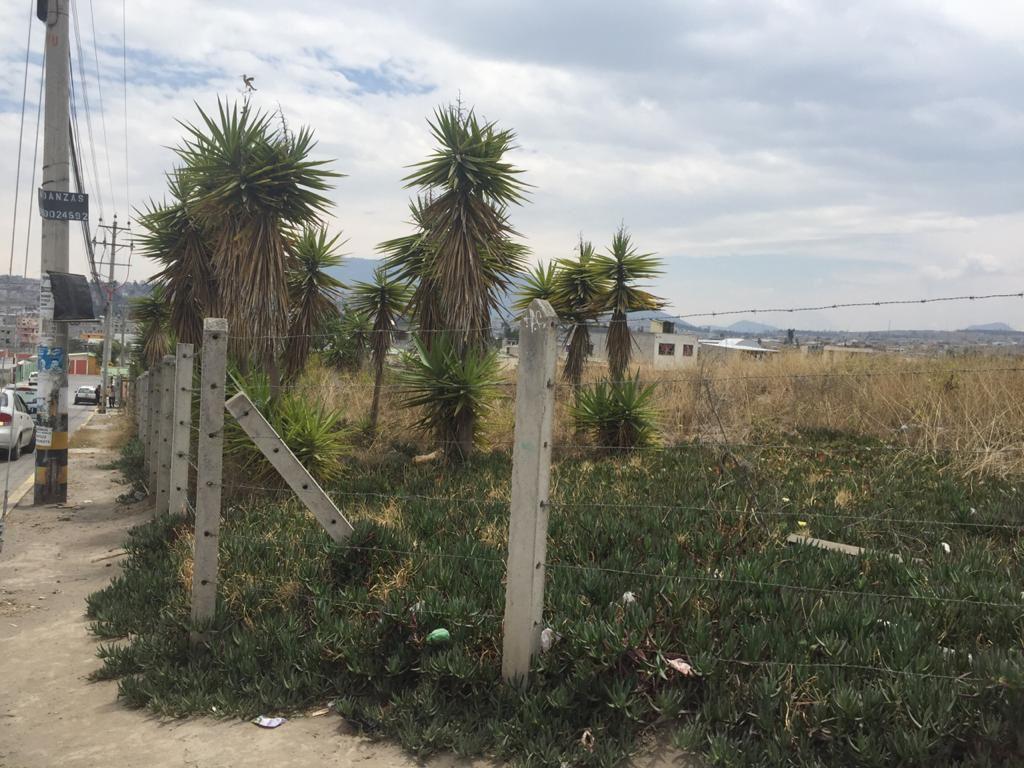 Calderon Venta Terreno Plano 3881 m² Cos 240% Urbano, Puedes Construir Tres Pisos — imagen 8