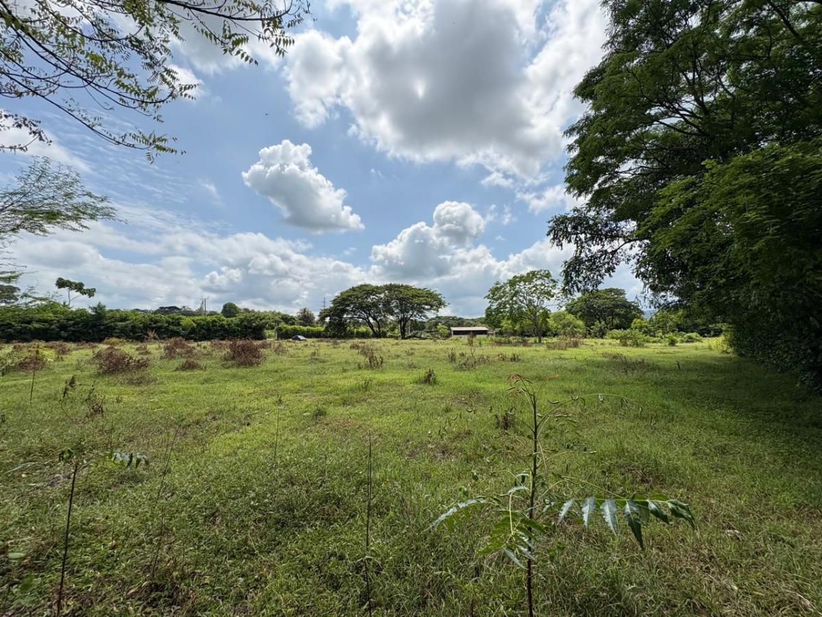 Terreno en Alquiler Via a La Costa Km²2 Ingg, Guayas — imagen 3