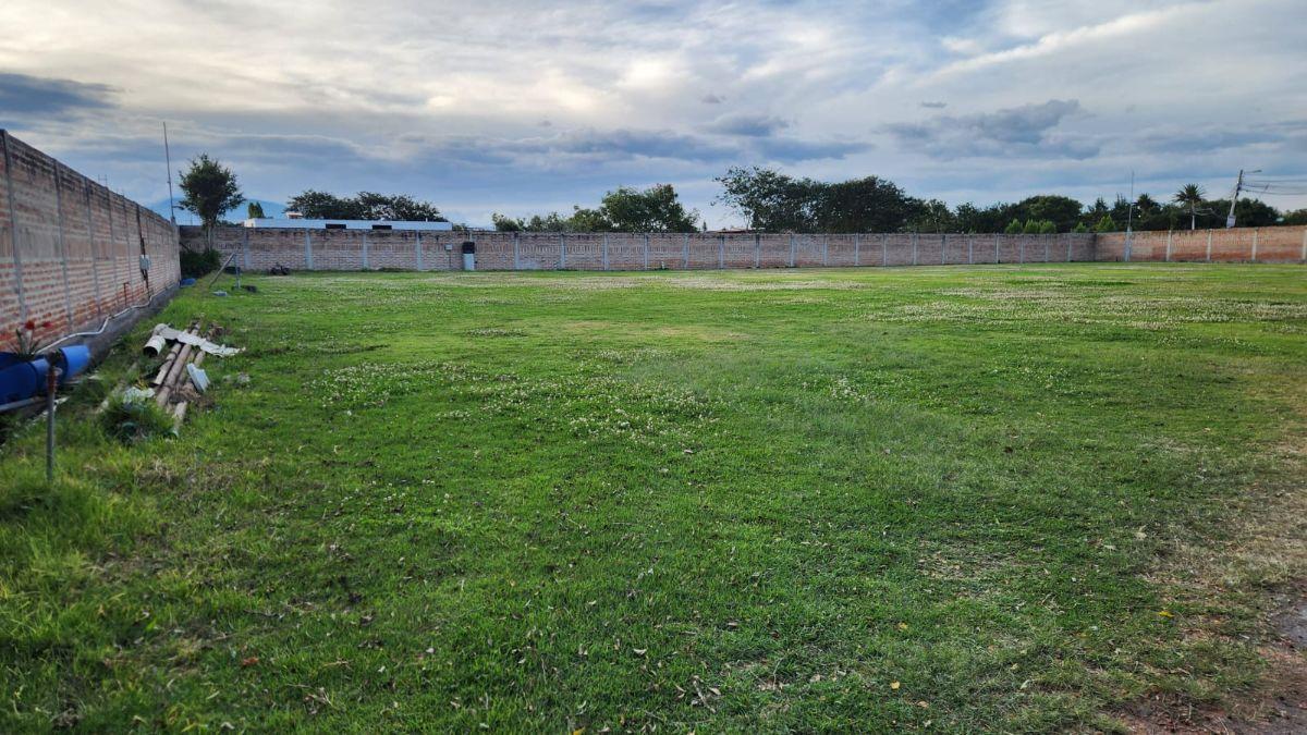 Terreno de 4396 m² en Arriendo en Tumbaco — imagen 8