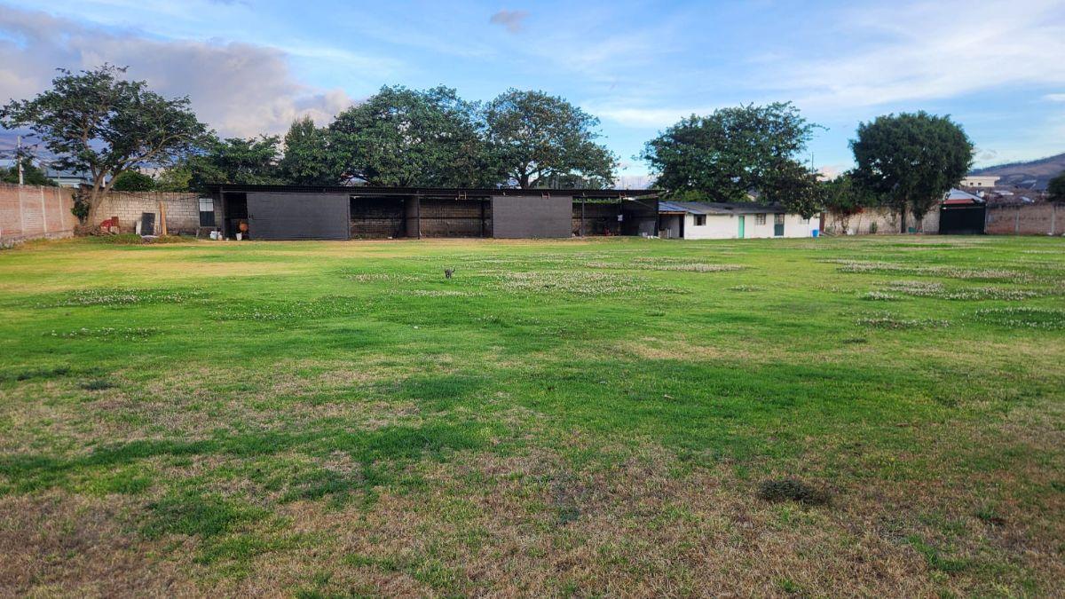 Terreno de 4396 m² en Arriendo en Tumbaco — imagen 4