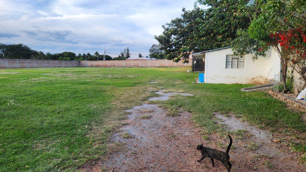 Terreno de 4396 m² en Arriendo en Tumbaco — imagen 2