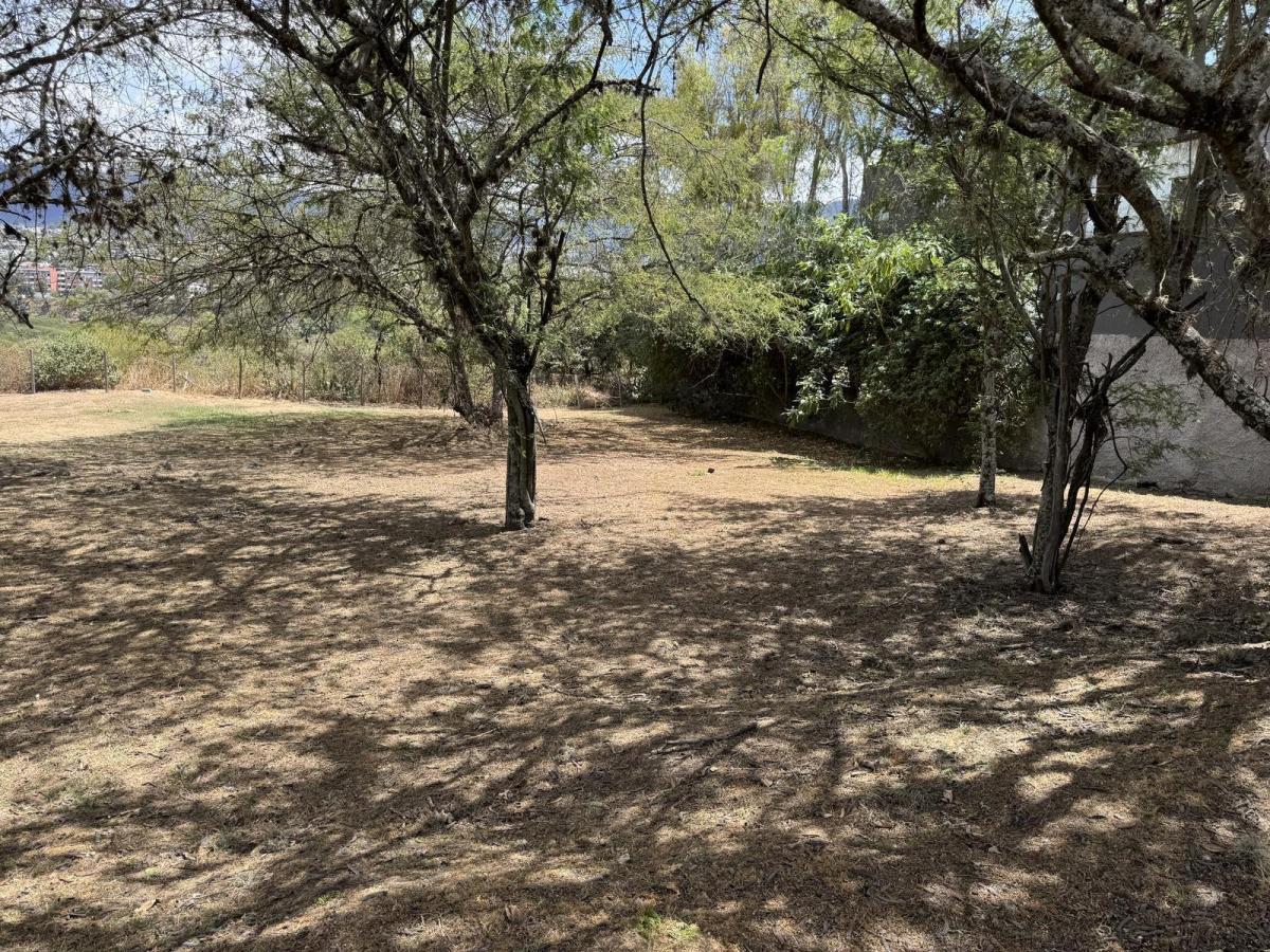 Cumbaya - Sector La Viña 1454 m² en Venta Terreno Bifamiliar en Urbanización de Lujo — imagen 8