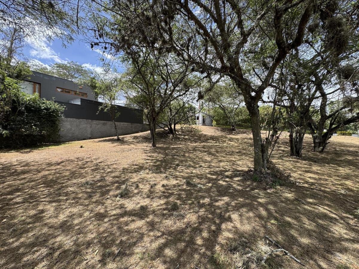 Cumbaya - Sector La Viña 1454 m² en Venta Terreno Bifamiliar en Urbanización de Lujo — imagen 5