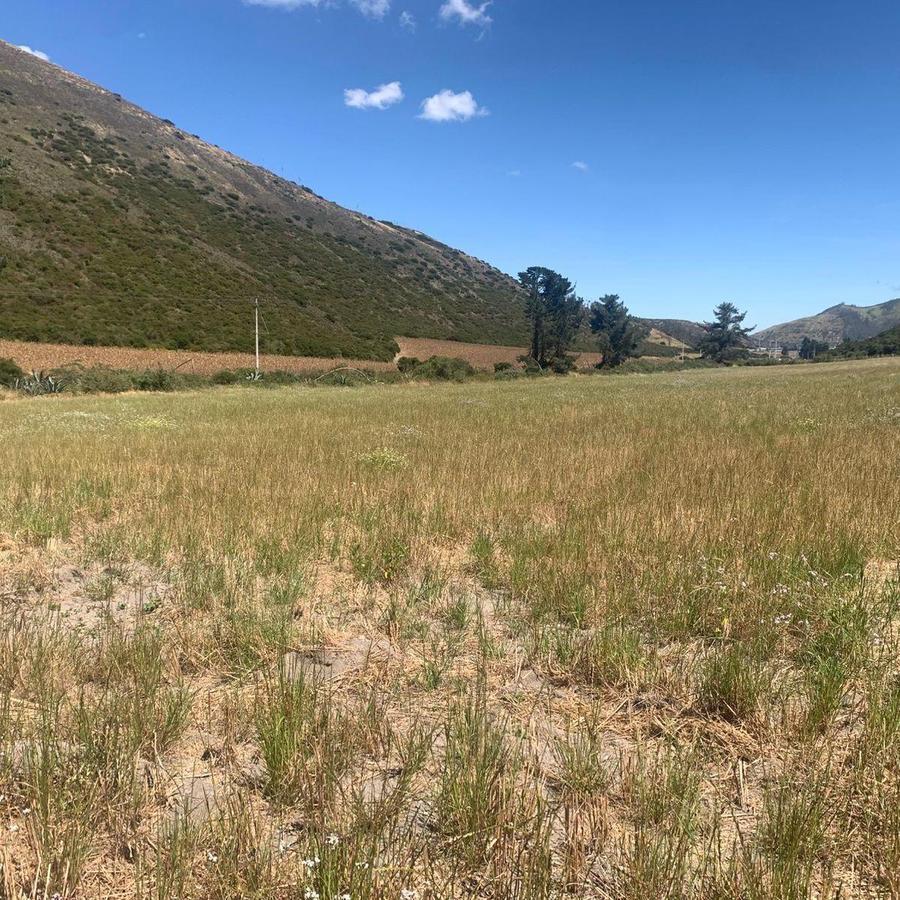 Venta 50000 m Terreno Sector Calacalí, No Industrial — imagen 9