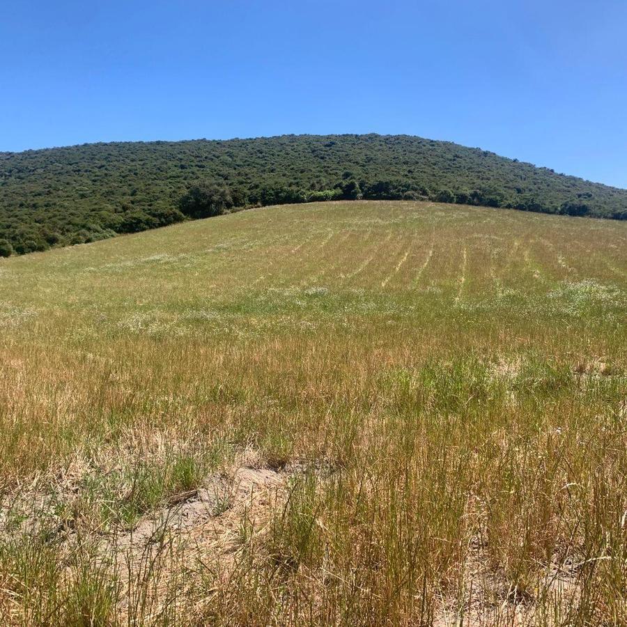 Venta 50000 m Terreno Sector Calacalí, No Industrial — imagen 4
