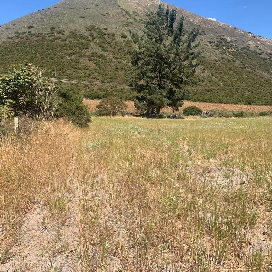 Venta 50000 m Terreno Sector Calacalí, No Industrial — imagen 3