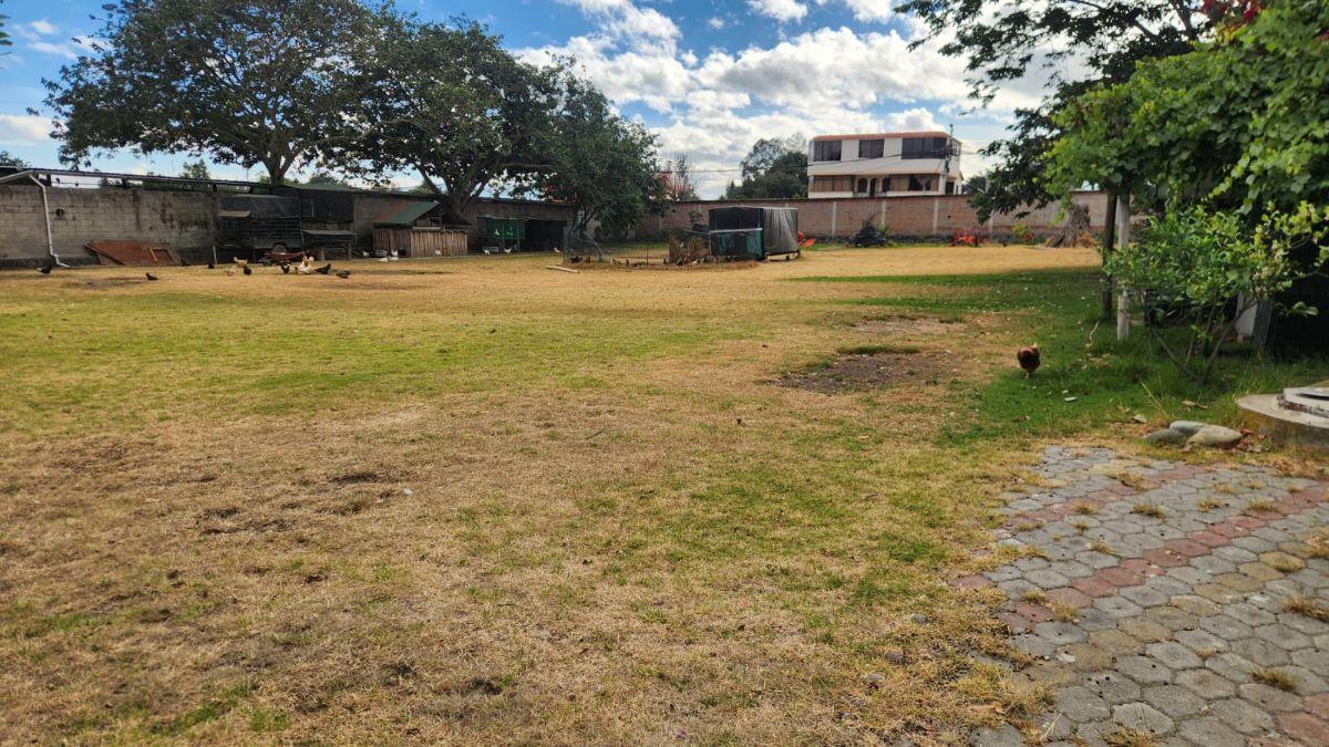 Terreno de 2560 m² en Alquiler en Tumbaco Mas Suite — imagen 3
