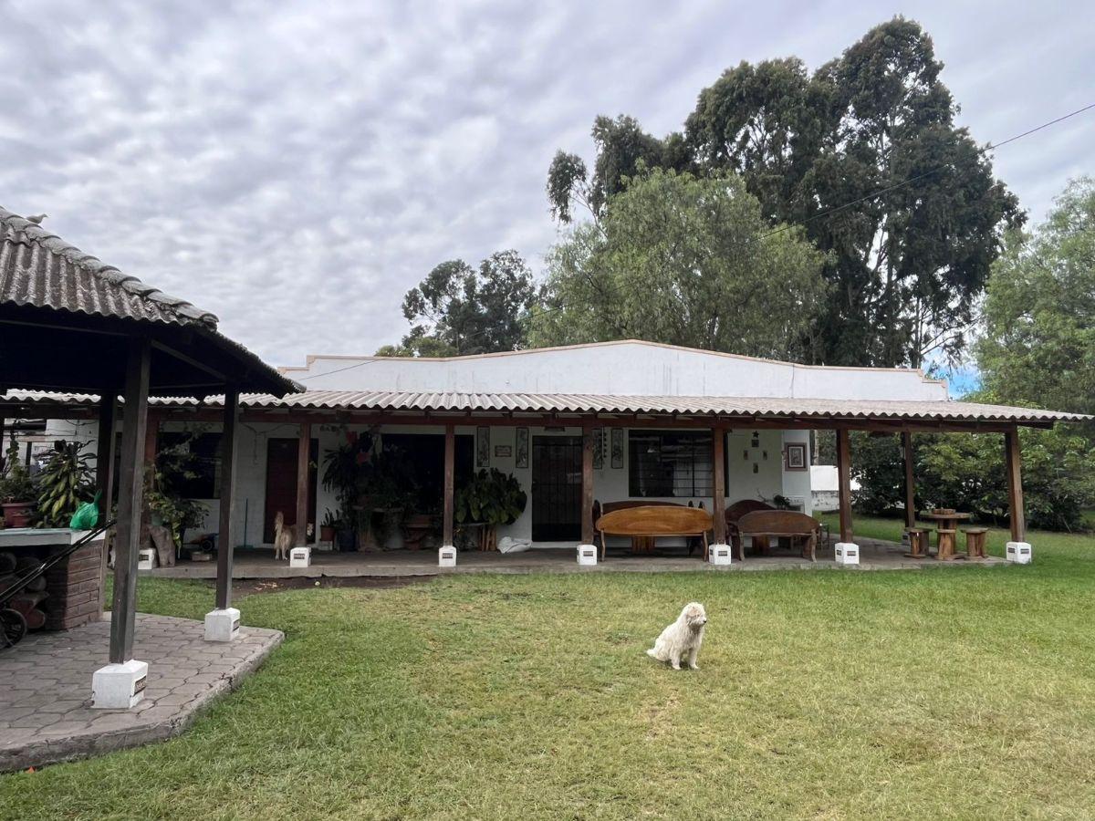 Terreno / Quinta de 9.264 m² en Ubicación Estrategica. Tumbaco — imagen 10