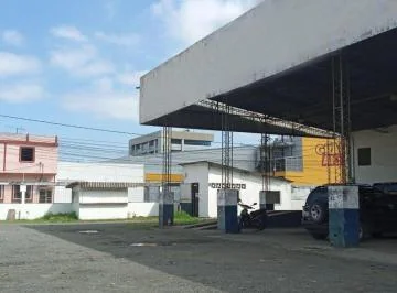 Alquilo Terreno en Babahoyo, Los Ríos — imagen 5
