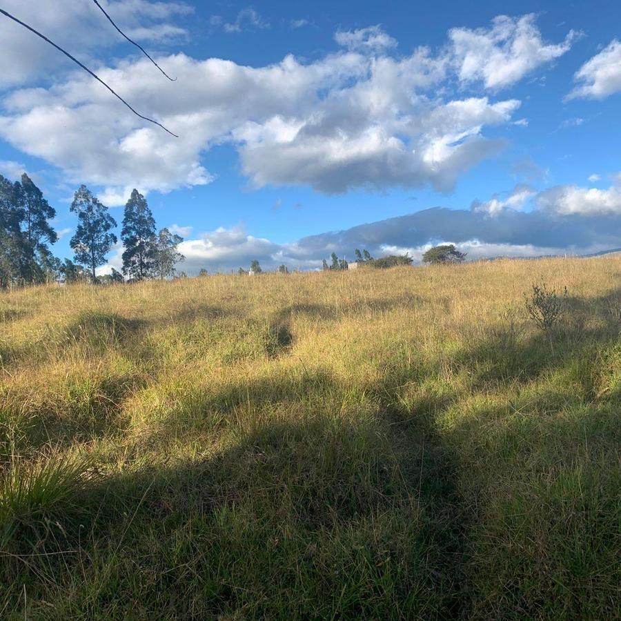 Venta Terreno 3500 m² Dentro de Urbanizacion Valle de Los Chillos Altos de Betania — imagen 9