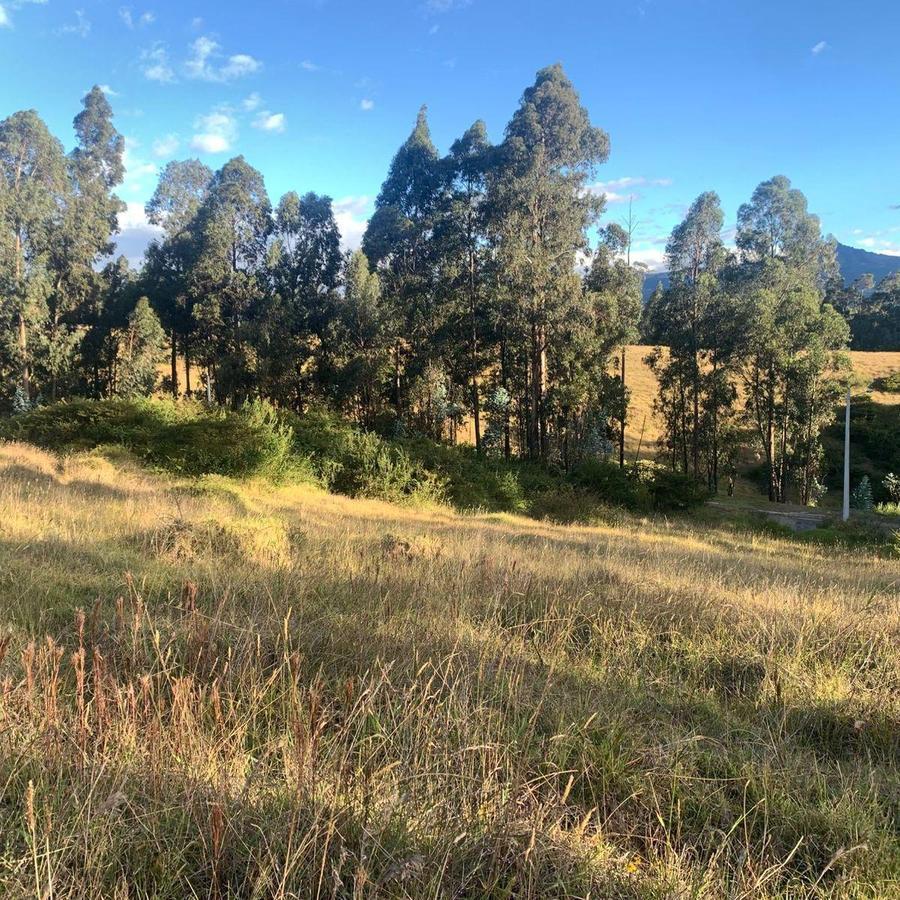 Venta Terreno 3500 m² Dentro de Urbanizacion Valle de Los Chillos Altos de Betania — imagen 5