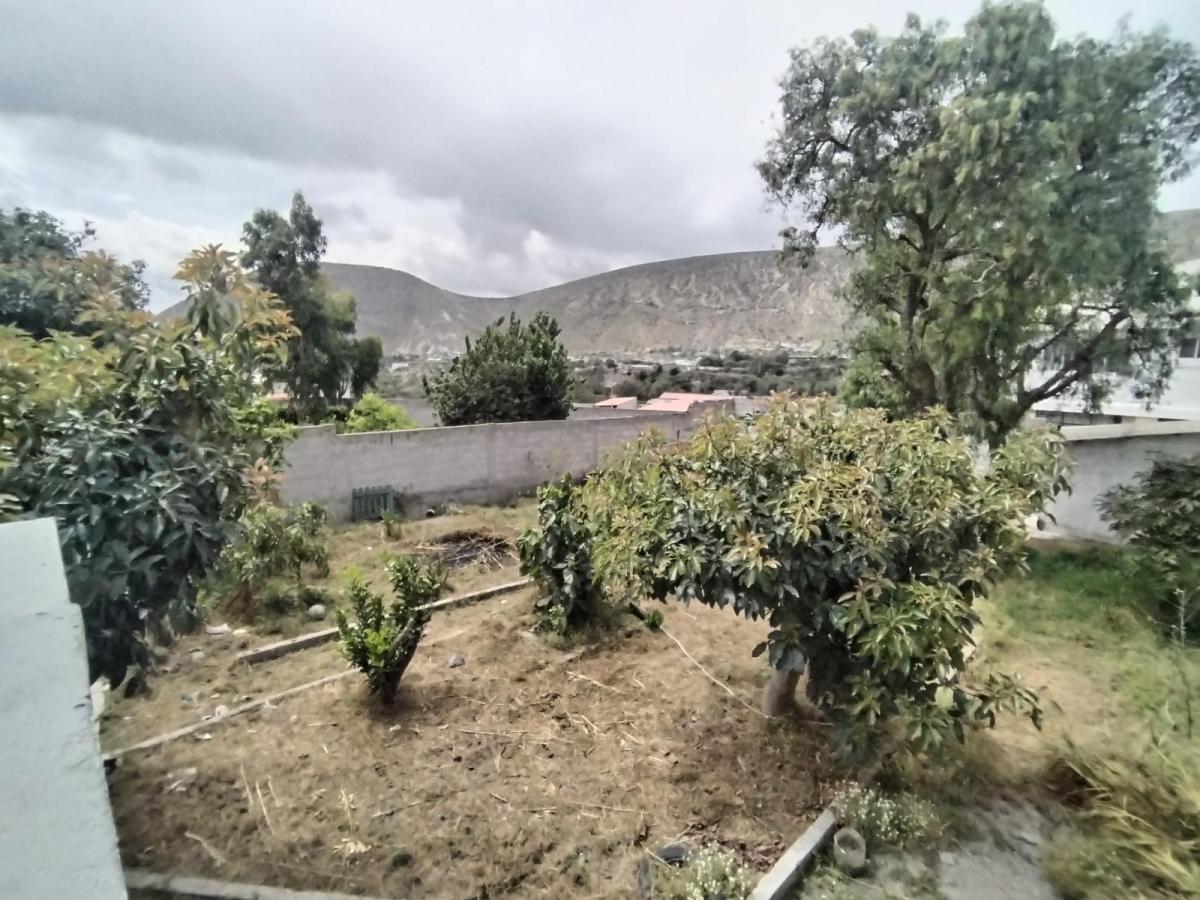Casa en Venta con Habitación en Planta Baja, Suite y Jardin en La Mitad del Mundo — imagen 10