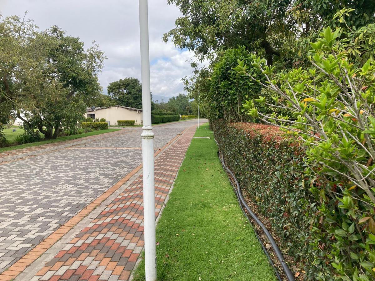 Puembo Venta Terreno 1250 m², Dentro de Urbanización, Tenemos Lotes Mas Grandes — imagen 6