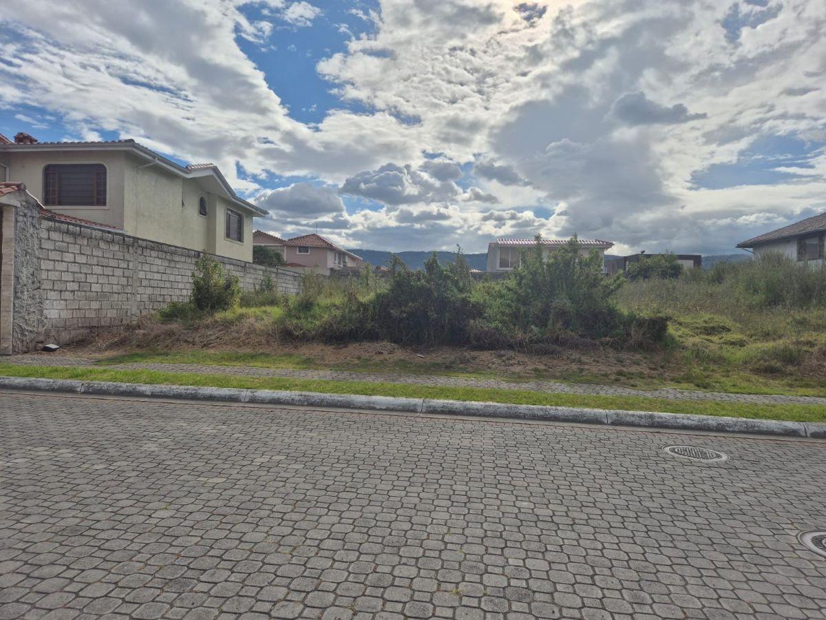 Terreno en Venta Sector San Pedro de Taboada - Valle de Los Chillos — imagen 10