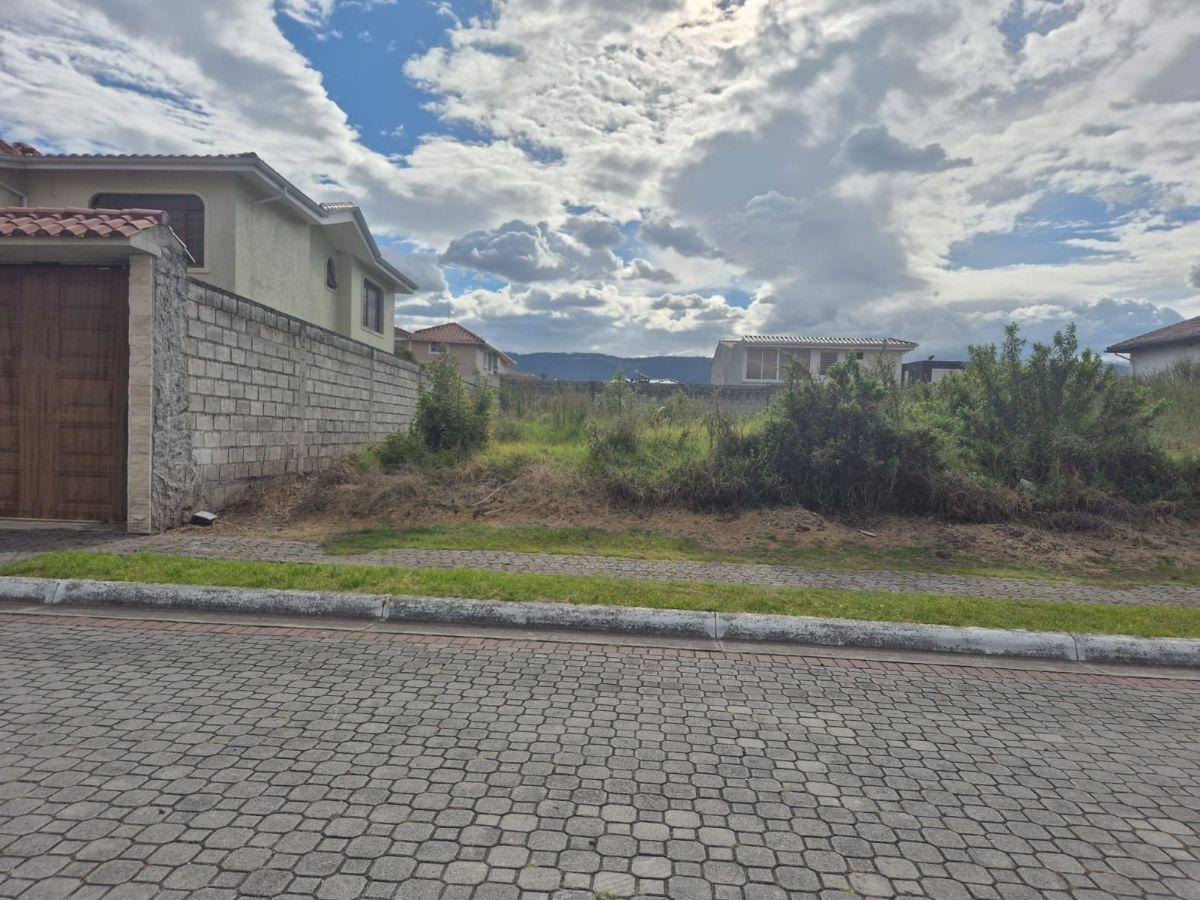 Terreno en Venta Sector San Pedro de Taboada - Valle de Los Chillos — imagen 9