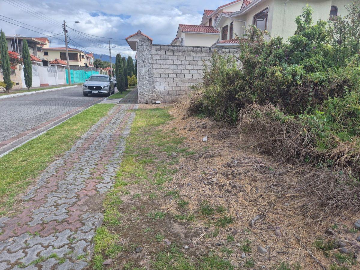 Terreno en Venta Sector San Pedro de Taboada - Valle de Los Chillos — imagen 7