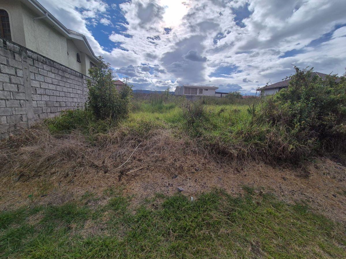 Terreno en Venta Sector San Pedro de Taboada - Valle de Los Chillos — imagen 4