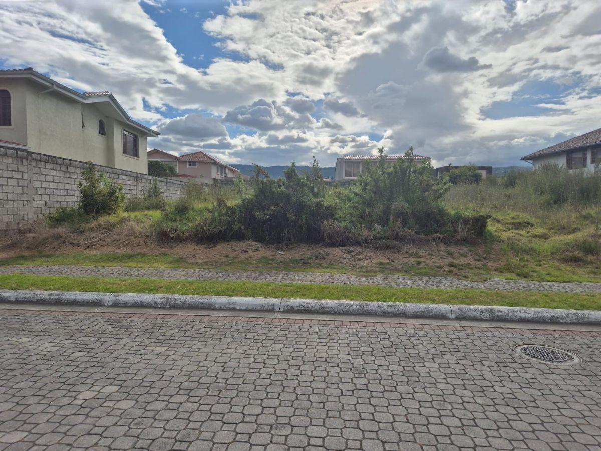 Terreno en Venta Sector San Pedro de Taboada - Valle de Los Chillos — imagen 2