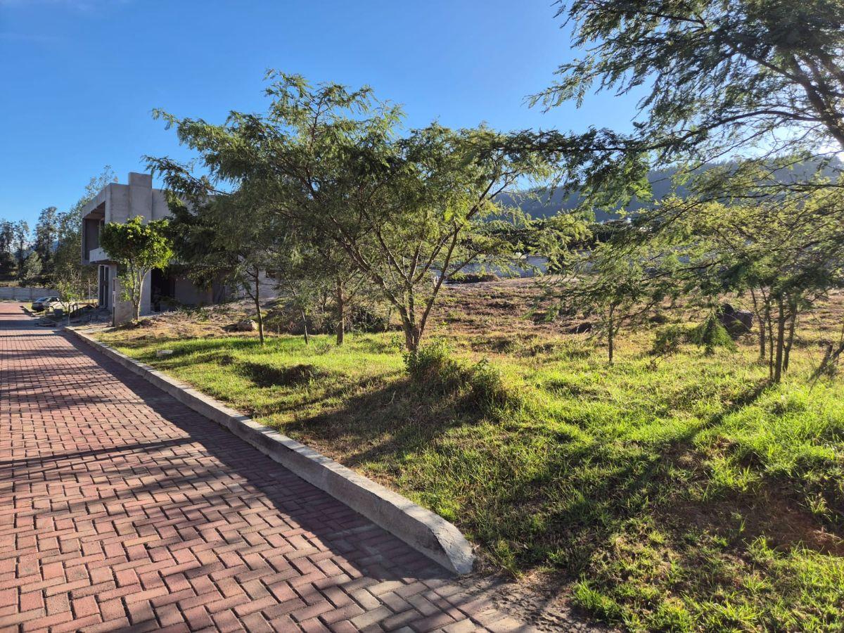 Terreno de 574 m² en Venta en El Sector de Nayón — imagen 9