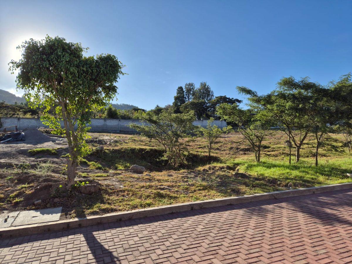 Terreno de 574 m² en Venta en El Sector de Nayón — imagen 4