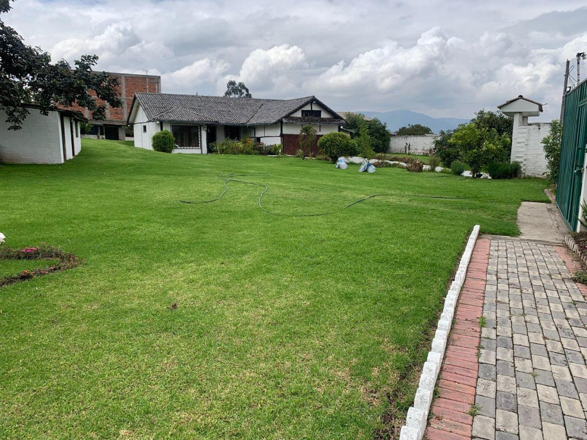 Pifo Venta Hermoso Terreno 1800 m² Tiiene Una Casa Campestre y un Departamento — imagen 10