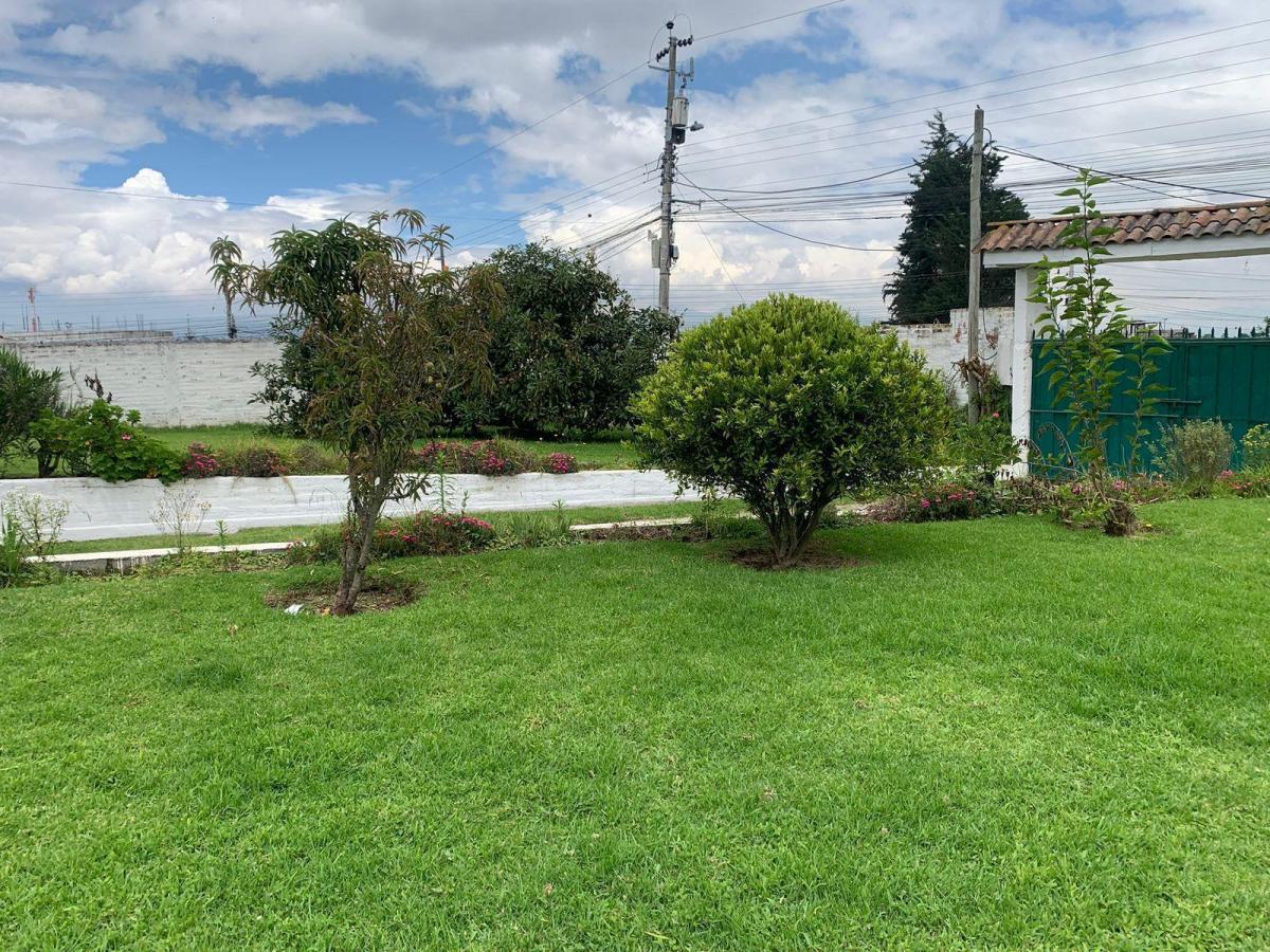 Pifo Venta Hermoso Terreno 1800 m² Tiiene Una Casa Campestre y un Departamento — imagen 6