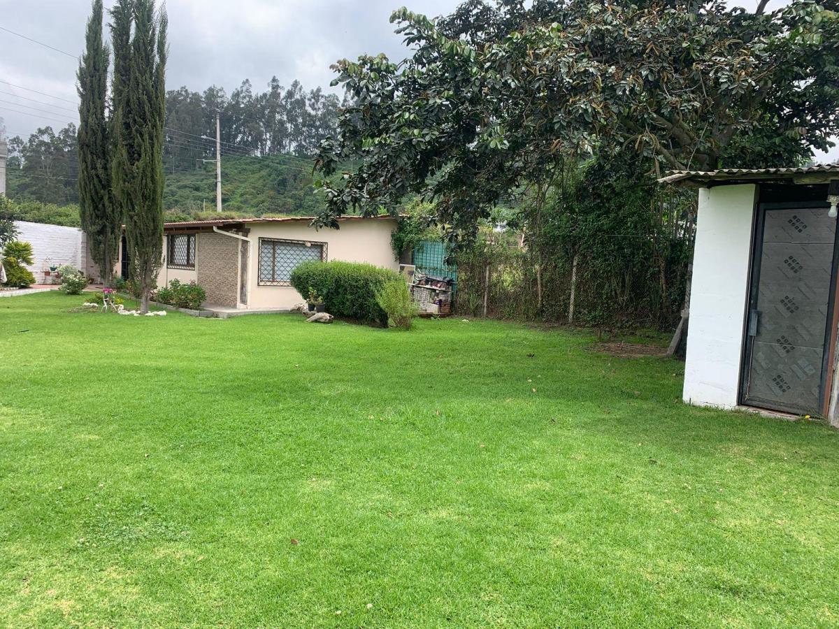 Pifo Venta Hermoso Terreno 1800 m² Tiiene Una Casa Campestre y un Departamento — imagen 2