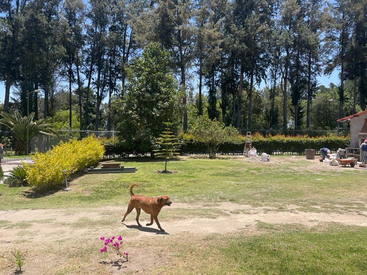 Puembo, Espectaulares Terrenos Planos en Urbanización 1250 m² y 1175,77 m², Naturaleza y Tranquilidad — imagen 6