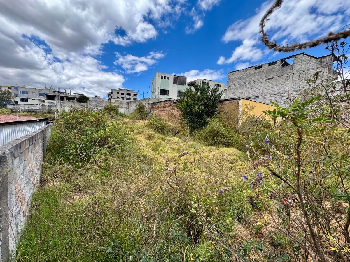 Venta Terreno 471 m² en San Isidro del Inca — imagen 7