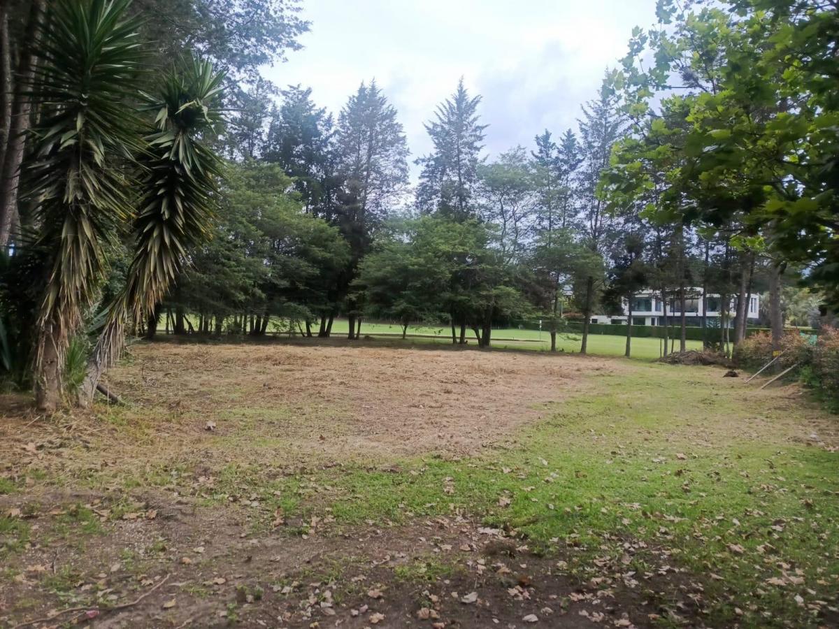 Terreno en Arrayanes Country Club - Precio Negociable — imagen 8