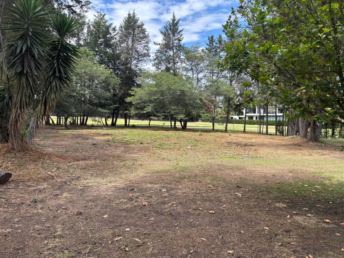 Terreno en Arrayanes Country Club - Precio Negociable — imagen 7