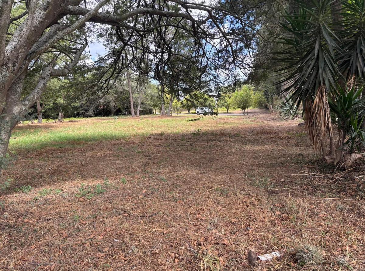 Terreno en Arrayanes Country Club - Precio Negociable — imagen 5