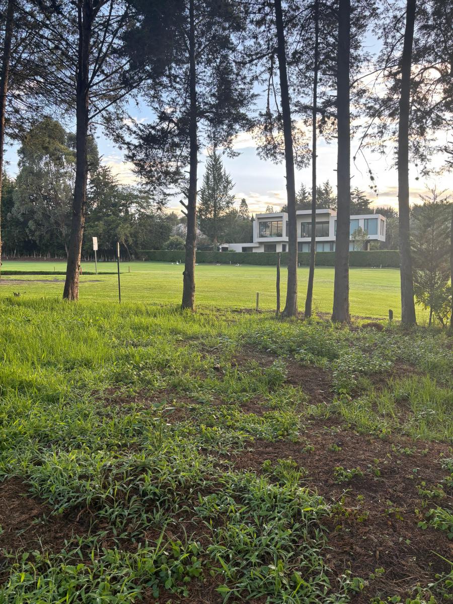 Terreno en Arrayanes Country Club - Precio Negociable — imagen 3