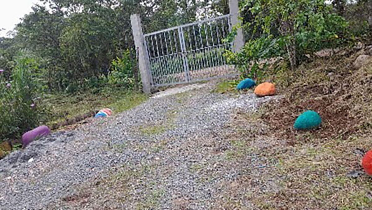 Quita 1 Hectárea San Bernabe - San Miguel de Los Bancos — imagen 10