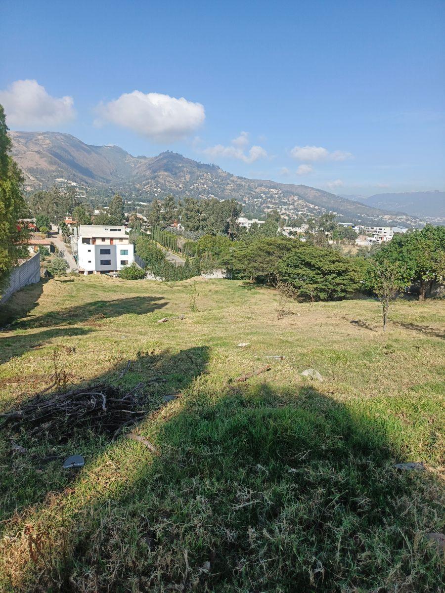 Vendo Lindo Terreno en Tumbaco Sector La Morita — imagen 7