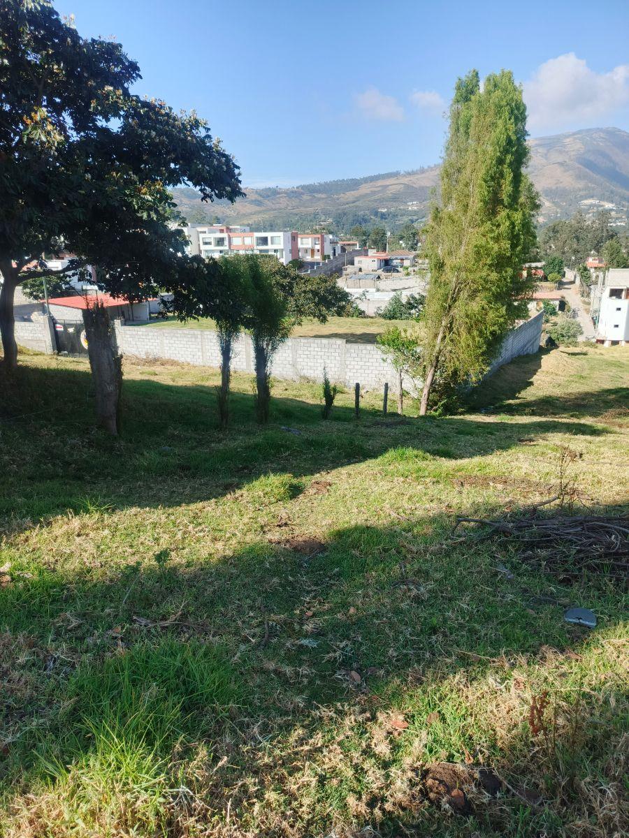 Vendo Lindo Terreno en Tumbaco Sector La Morita — imagen 2