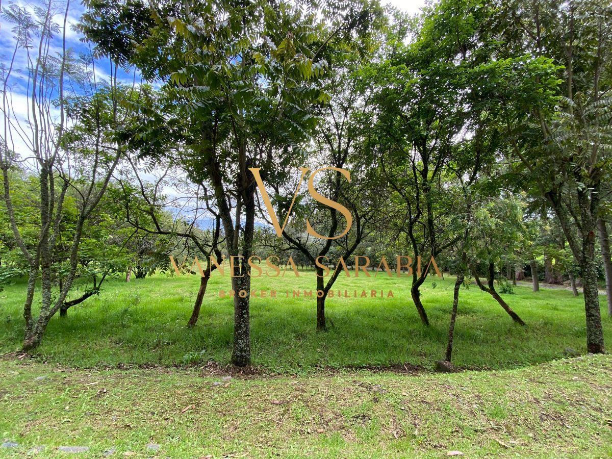 Vendo Terreno Valle de Los Chillos en Urbanización Exclusiva — imagen 4